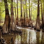 Matthew Vandiver - @matthew.vandiver Instagram Profile Photo