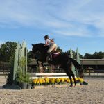 mckenzi walker - @kenz.equestrian05 Instagram Profile Photo