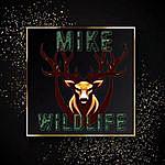 Michael Cheval - @mike_wildlife Instagram Profile Photo