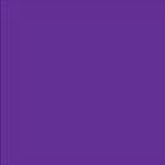 Michael Tidwell - @a_guy_who_likes_purple Instagram Profile Photo