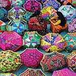 Little India Tours - @littleindiatours Instagram Profile Photo