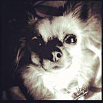 Minnie Berry - @minnie_berry_ Instagram Profile Photo