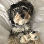 Minnie Muller - @minnieismoo Instagram Profile Photo