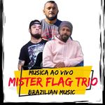 Mister Flag - @misterflagoficial Instagram Profile Photo