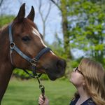 Misty Adamson - @adamson.equestrian Instagram Profile Photo