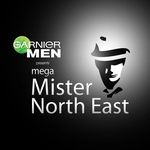 Mega Mister North East - @megamisternortheast Instagram Profile Photo