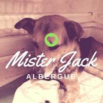 Albergue Mister Jack - @alberguemisterjack Instagram Profile Photo