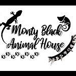 Monty Black - @monty_black_animal_house Instagram Profile Photo