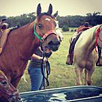 morgan ragland - @_barrel_racing_cowgirl_ Instagram Profile Photo