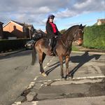 Holly Gardner-albiston - @h._equestrian_myrtle Instagram Profile Photo