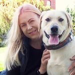 Nancy Bernard - @360dogwalker Instagram Profile Photo