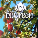 Norma Rosso - @biogreen_bigand Instagram Profile Photo