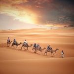 TRAVELS. DISCOVERY. MORROCO - @discovery_morroco_travels Instagram Profile Photo