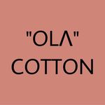 The Luxury Blouse - @ola.cotton_ Instagram Profile Photo