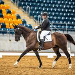 Olivia Farrell - @olivia_farrell_equestrian Instagram Profile Photo
