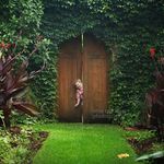 Pamela Cornish - @bollis_adventures Instagram Profile Photo