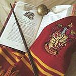 pansy_griffindor_07 - @pansy_griffindor_07 Instagram Profile Photo