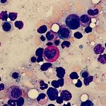 Molly Housley Smith - @beauty_in_pathology Instagram Profile Photo