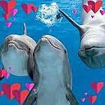 Patricia Spinner - @luvdolphins0812 Instagram Profile Photo