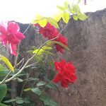 Londina Paulo Barboza - @londina_paulo_barboza Instagram Profile Photo