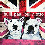 Paul Otto - @bulli_paul_bully_otto Instagram Profile Photo