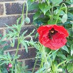 Paula Fowler - @paula.fowler.121 Instagram Profile Photo