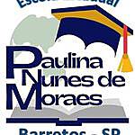 Paulina Nunes de Moraes - @escolapaulinanunesdemoraes Instagram Profile Photo