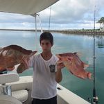 Perry Cohen - @perrycohen_ Instagram Profile Photo