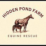 Phyllis Elliott - @hpf.equine.rescue Instagram Profile Photo