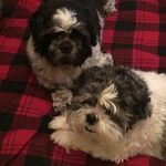 Phyllis Burton - @phyllis.burton.94 Instagram Profile Photo