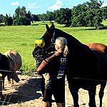 Phyllis Harden Burnett - @burnett_cattle Instagram Profile Photo