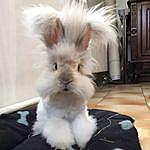 phyllis wooley - @quinnpmw Instagram Profile Photo