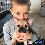 Rachel Cates - @farm_fresh_french_bulldogs Instagram Profile Photo