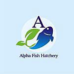 alpha fish hatchery - @alphafishhatchery Instagram Profile Photo