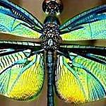 Randy McLemore ~ - @gypsy.dragonfly Instagram Profile Photo