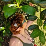 Raven Bakley - @mushrooms_on_the_moon Instagram Profile Photo