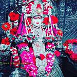 81 king Raydar bhole - @81_king_lidar_bhole_jay Instagram Profile Photo