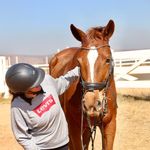Rebecca Andrews - @becks.equestrian_ Instagram Profile Photo