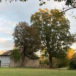 Rebecca Schwendler - @ancient_spring_farm Instagram Profile Photo