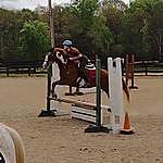 Regina Chaney - @regina_equestrian Instagram Profile Photo