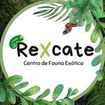 REXCATE Centro de Fauna - @centro.rexcate Instagram Profile Photo