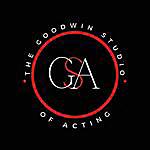 Richard Goodwin - @goodwinstudioofacting Instagram Profile Photo