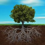 Richard Hedrick - @5.trees.energy.medicine Instagram Profile Photo