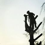 Richard Warner - @dickytreemonkey Instagram Profile Photo