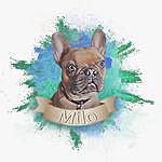Ricky Butler - @milo_the_frenchie_bw Instagram Profile Photo