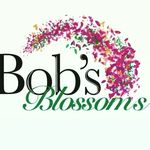 Robert Doyle - @bobs_blossoms_enniscorthy Instagram Profile Photo