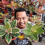 Robertus Rimawan Prasetiyo - @rimawanvlog Instagram Profile Photo