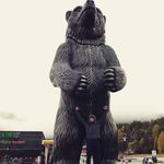 Roberte Wienke - @bear_pol Instagram Profile Photo