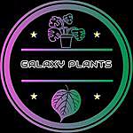 Galaxy Plants - Robin Steiger - @_galaxyplants_ Instagram Profile Photo