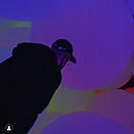 [R]onaldo Alegria - @alegri__7 Instagram Profile Photo